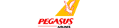 Pegasus