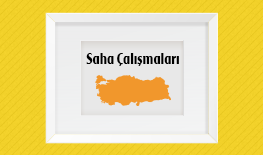 Saha Çalışmaları